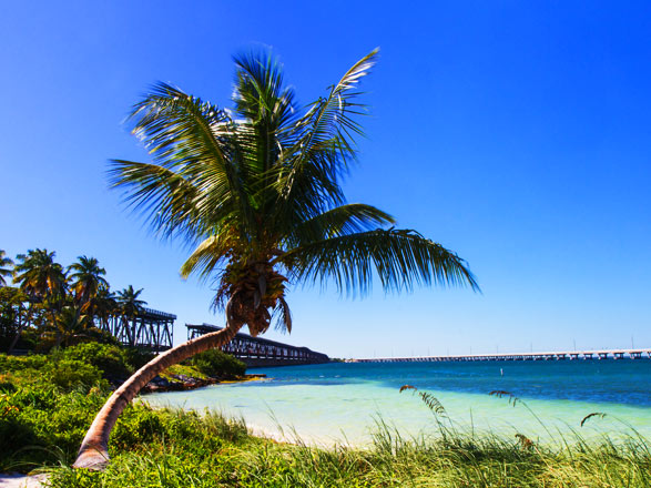 Bahamas: Nassau e Ocean Cay 